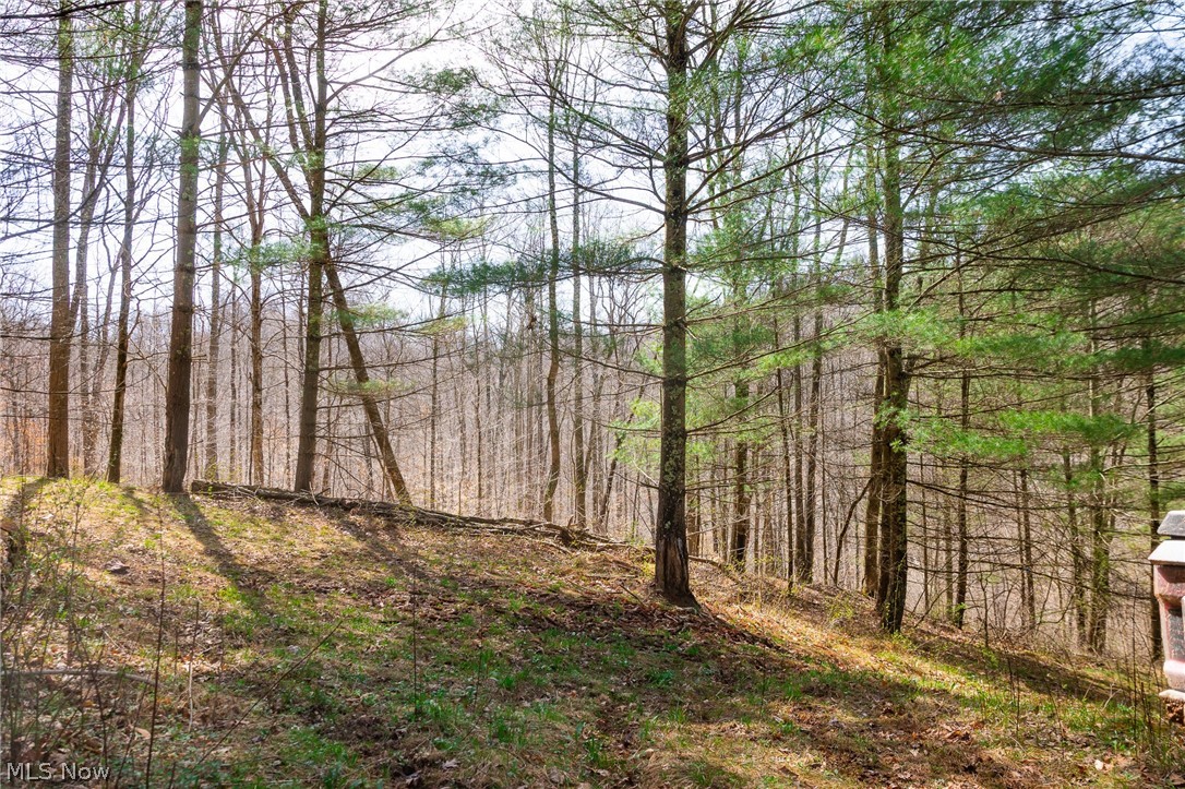 East Branch Road Lowell, OH 45744 - Photo 17 of 29