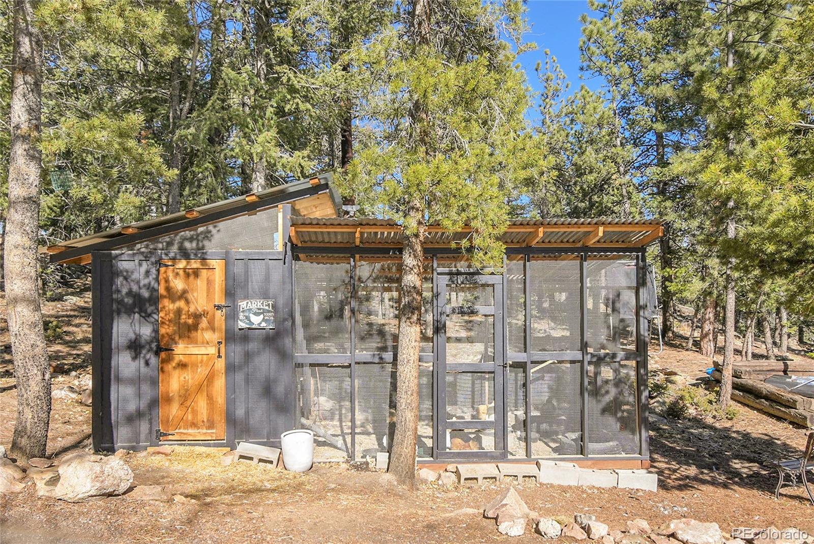 13382 Riley Peak Road Conifer, CO 80433 - Photo 20 of 24