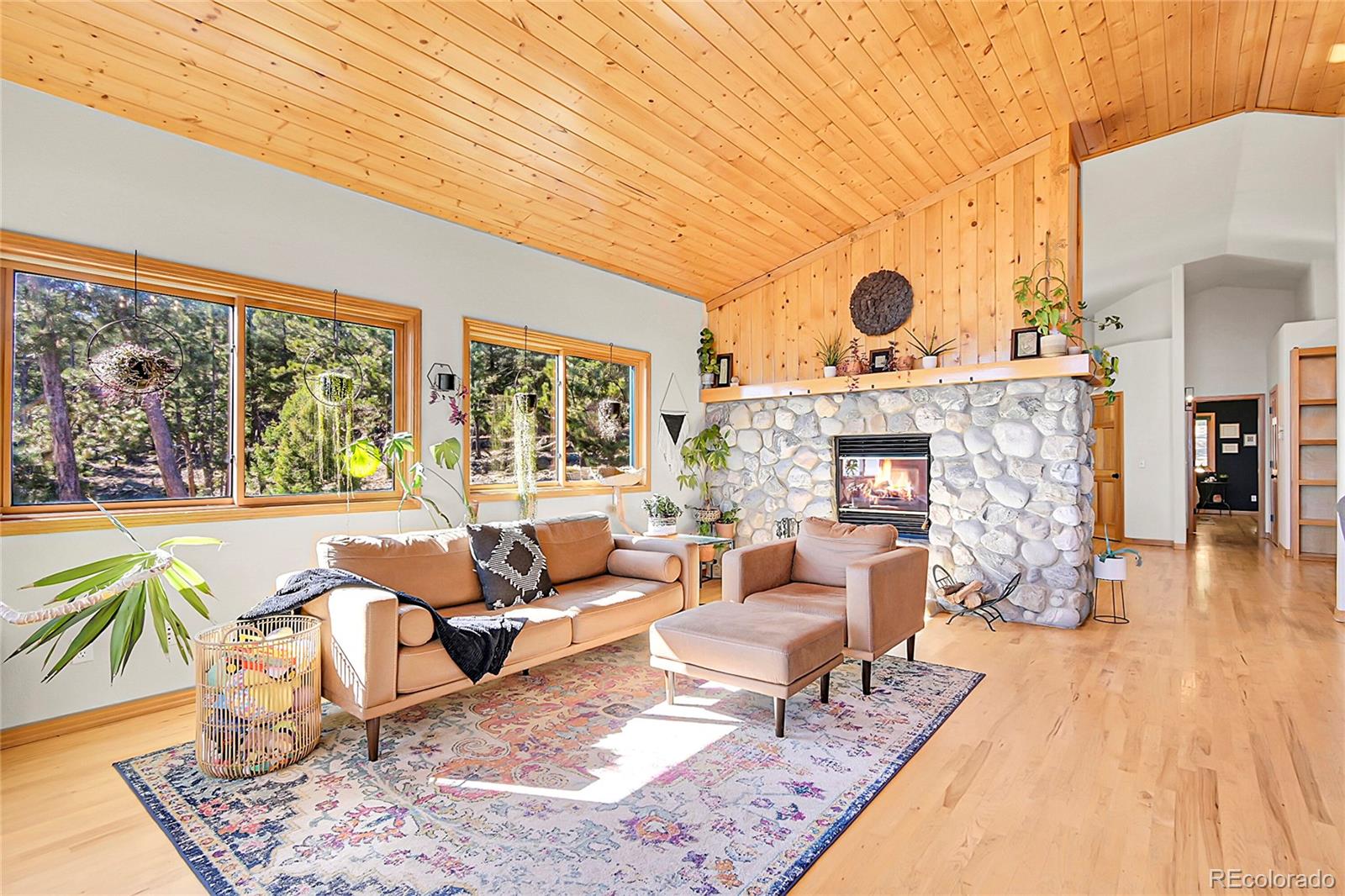 13382 Riley Peak Road Conifer, CO 80433 - Photo 5 of 24