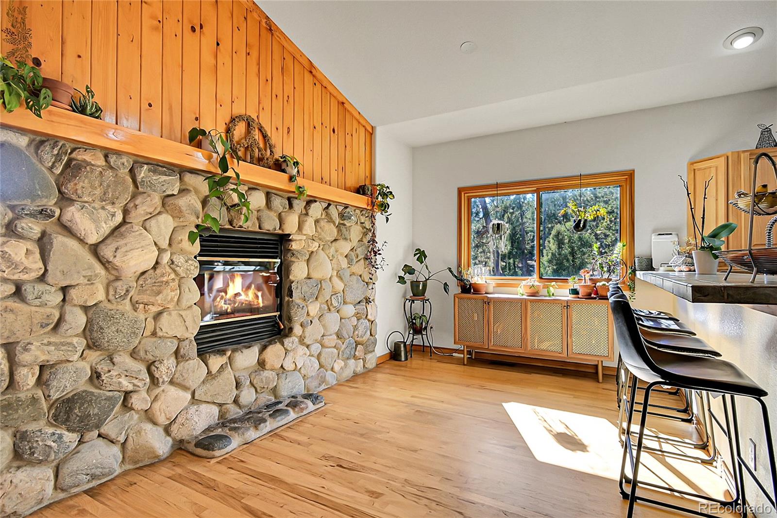 13382 Riley Peak Road Conifer, CO 80433 - Photo 9 of 25 a living room with furniture and a wooden floor