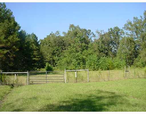 10057 Mount Temple Church Road Independence, LA 70443 - Photo 3 of 5 Gallery Image 3
