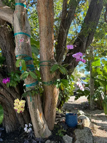 $2,995,000 | 415 Palm Drive, Islamorada, FL 33036