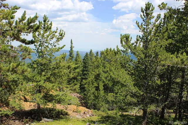 a view of a bunch of trees