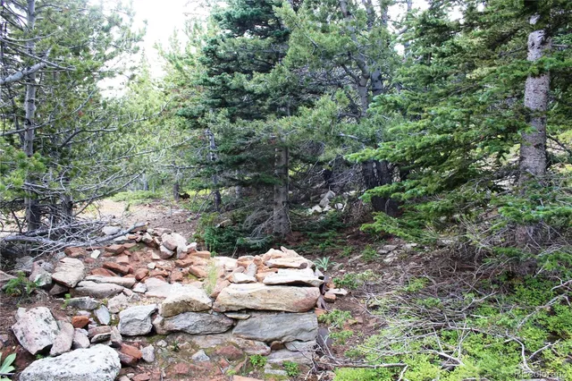 a view of yard with tree