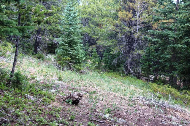an aerial view of residential house with green space