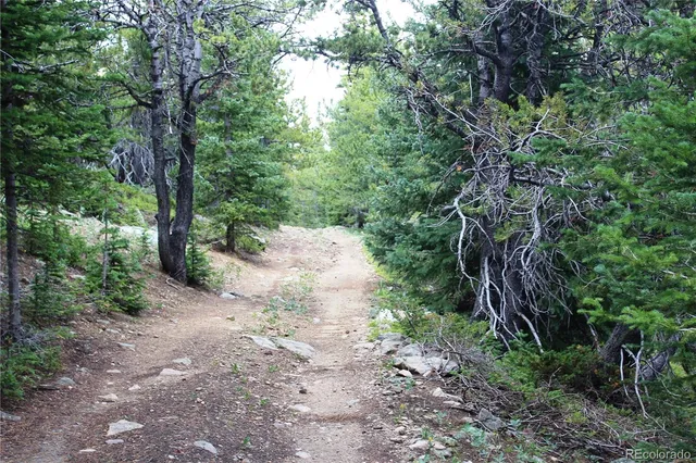 a backyard of a house with lots of trees