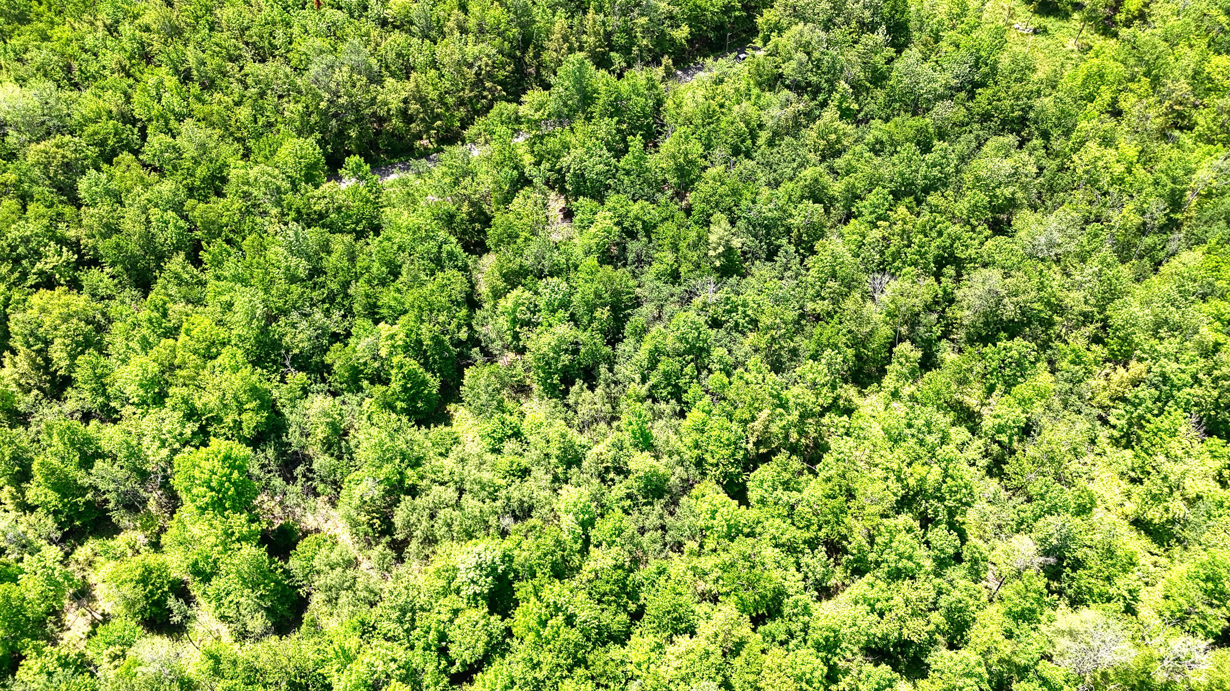 0 Macomber Road Readfield, ME 04355 - Photo 18 of 61 149-Z4LWJYW--DP-105