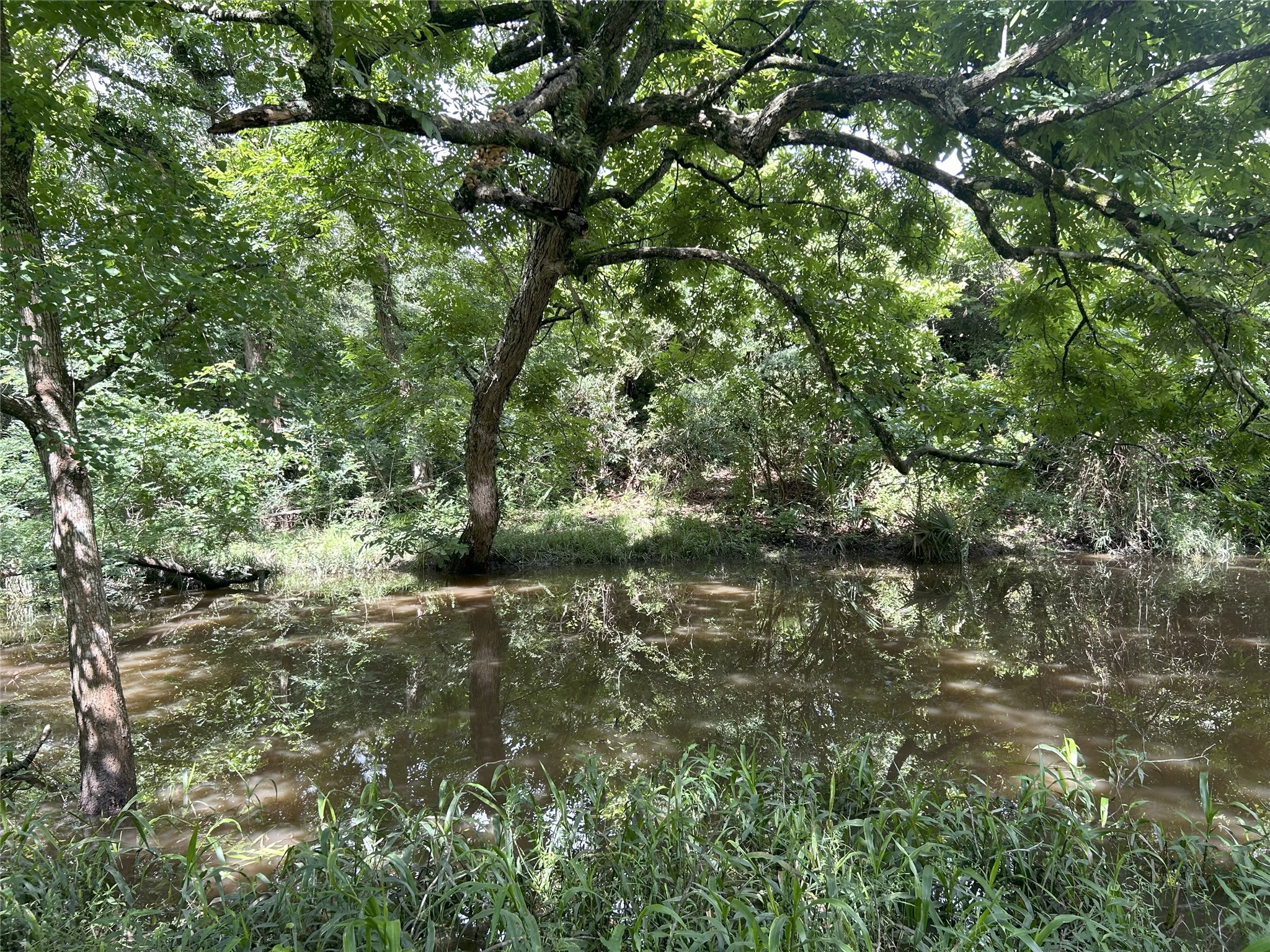 Tbd Holik Road Hempstead, TX 77445 - Photo 44 of 50