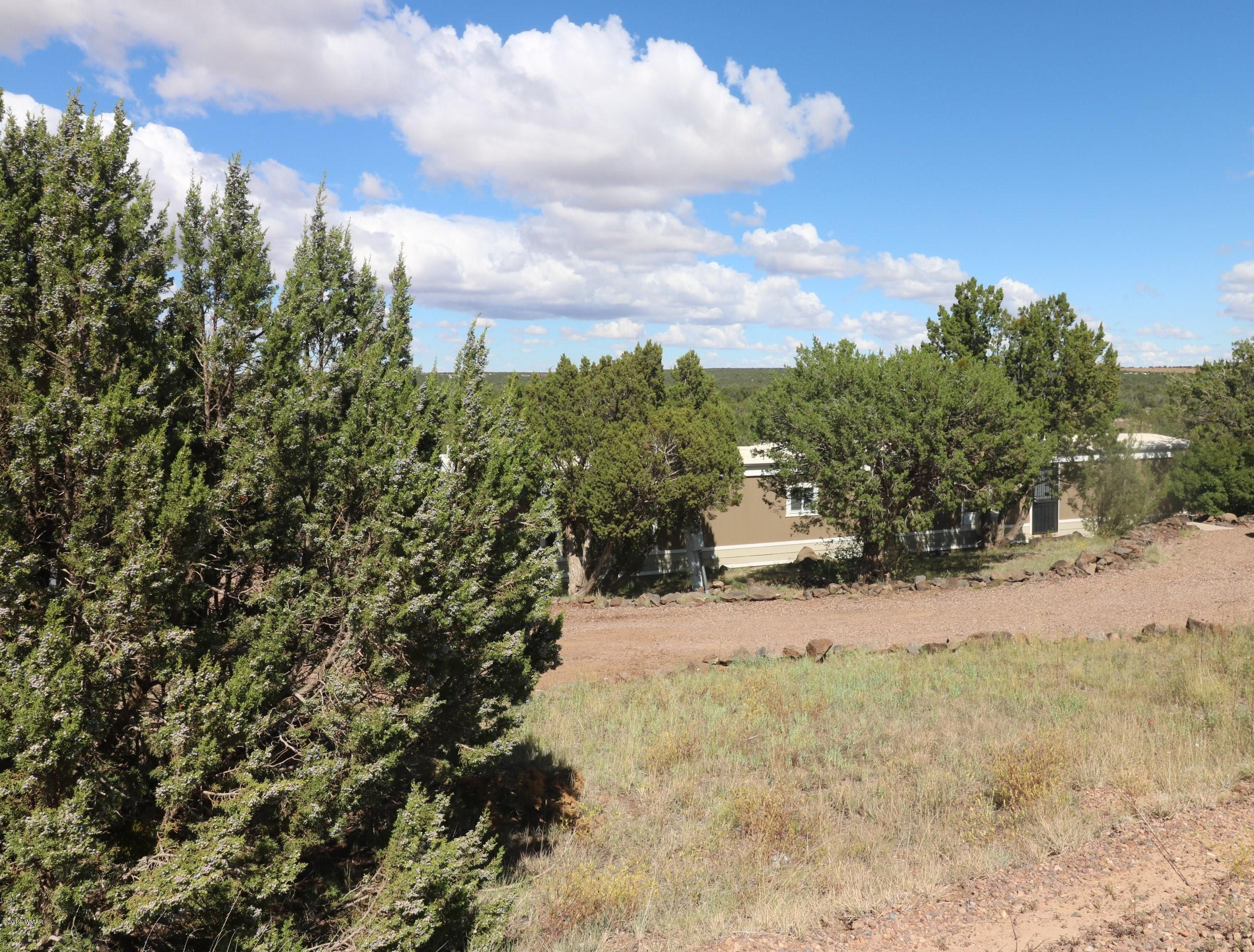 8618 Cox Drive Show Low, AZ 85901 - Photo 27 of 33