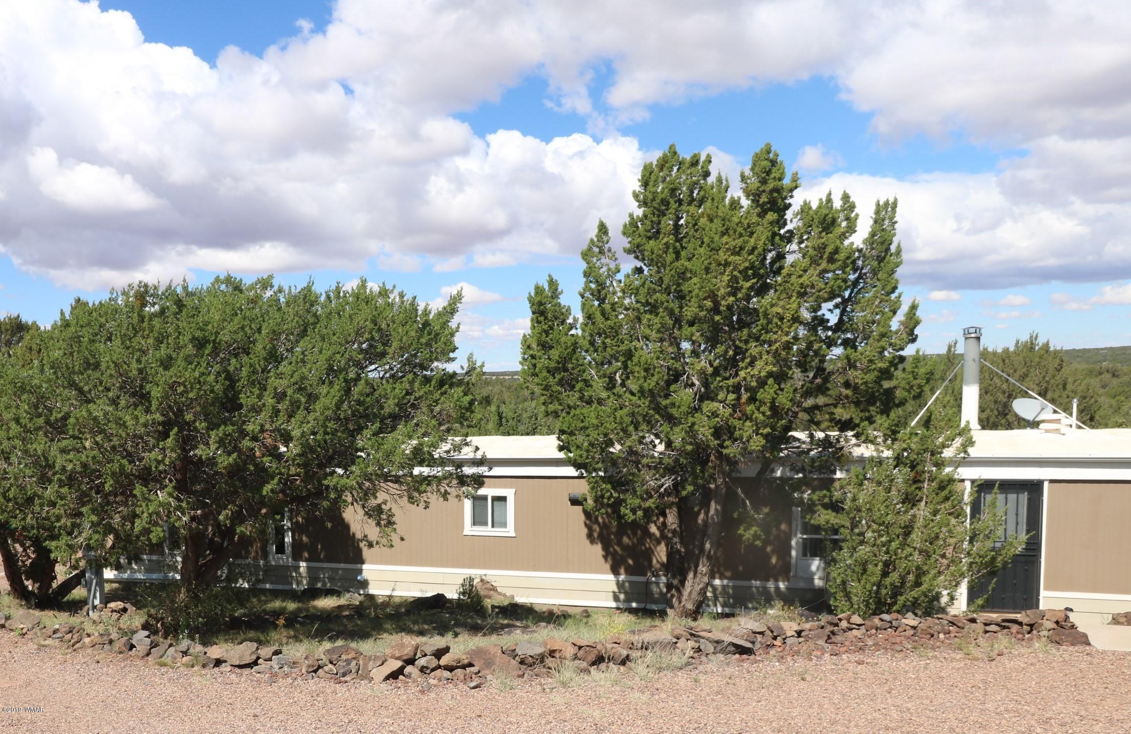 8618 Cox Drive Show Low, AZ 85901 - Photo 3 of 33