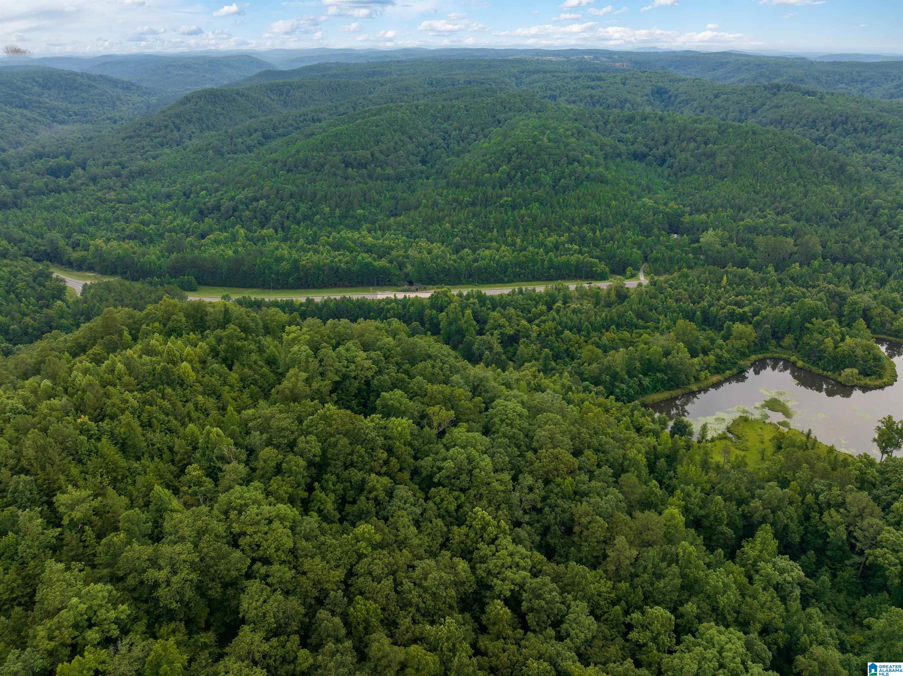81 Frozen Hollow Road, Unit 32 Carbon Hill, AL 35549 - Photo 8 of 42