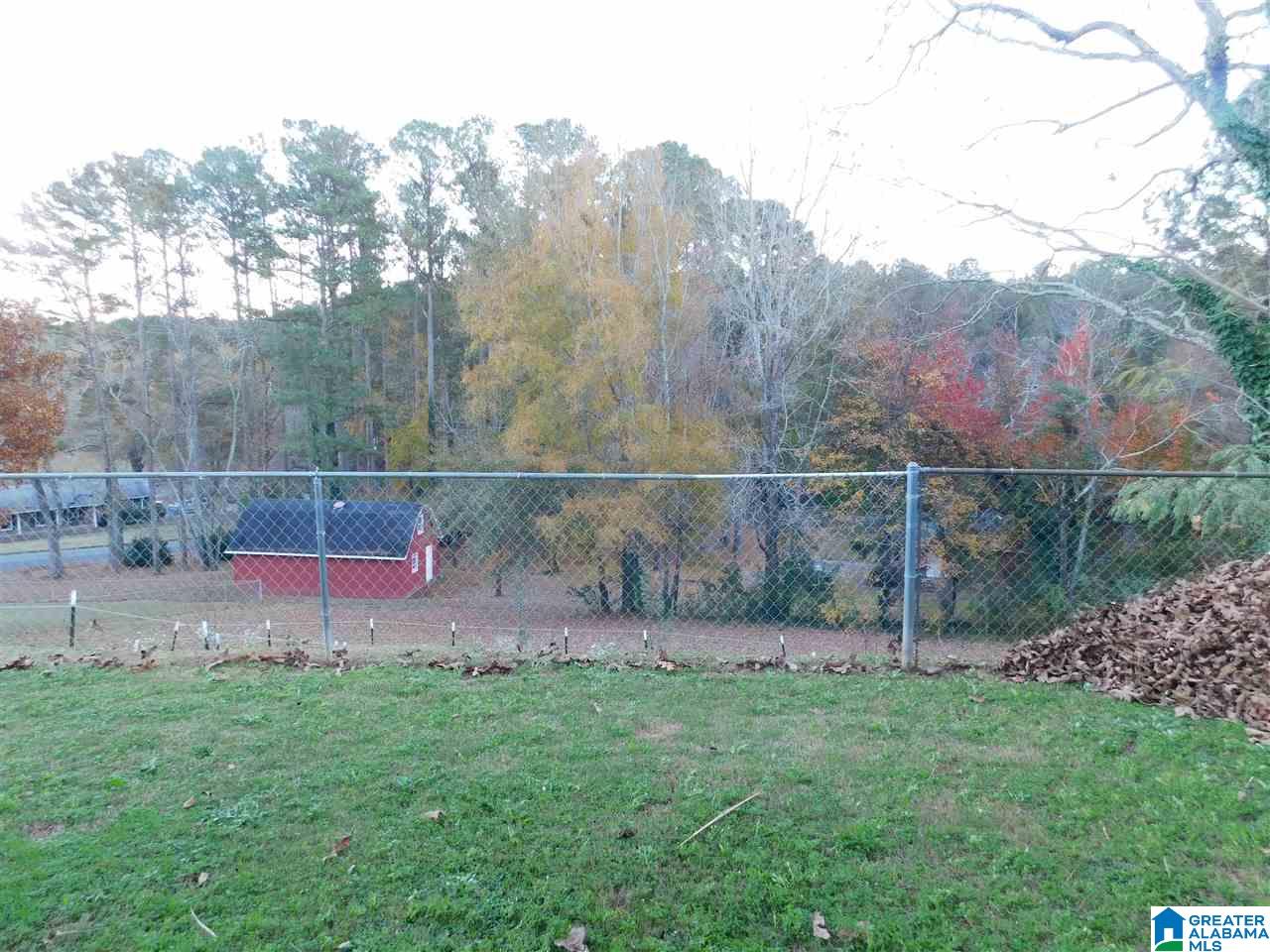 207 Ridgeway Drive Piedmont, AL 36272 - Photo 33 of 46