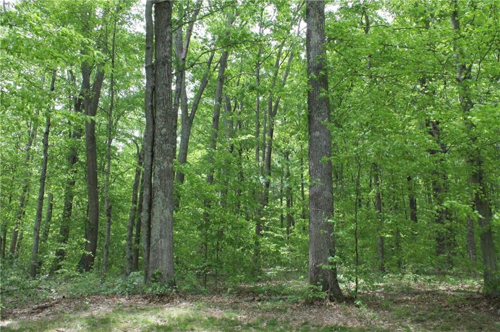 5033 3 Notch Road Nashville, IN 47448 - Photo 36 of 37 Gallery Image 36
