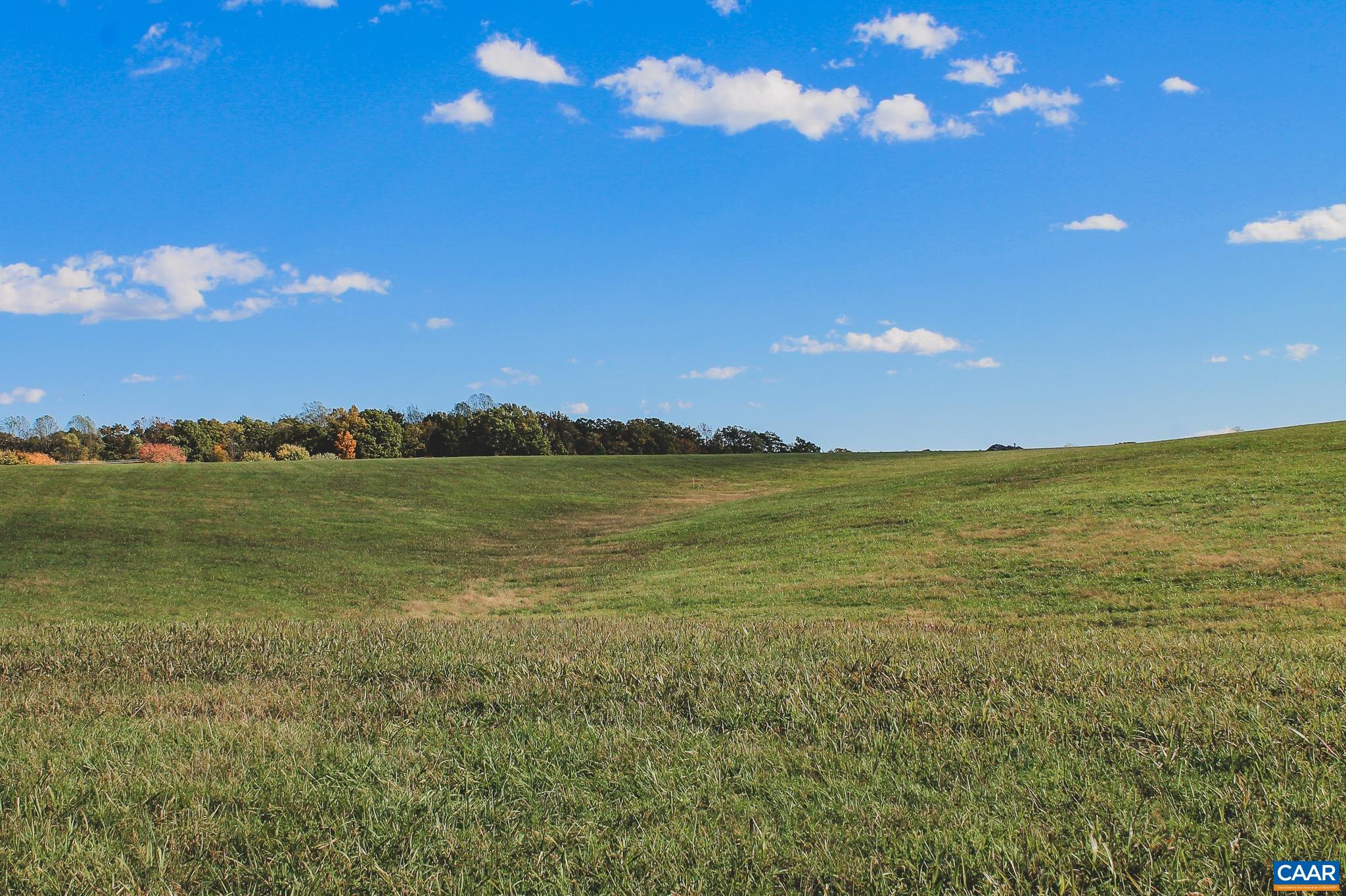 Tbd Rolling Road South Scottsville, VA 24590 - Photo 20 of 28