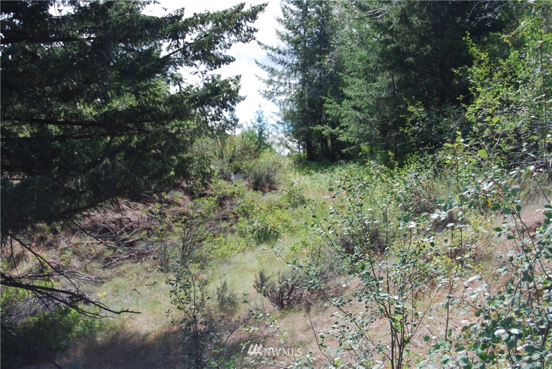 10002 North Lemanasky Road Tonasket, WA 98855 - Photo 5 of 7 Gallery Image 5