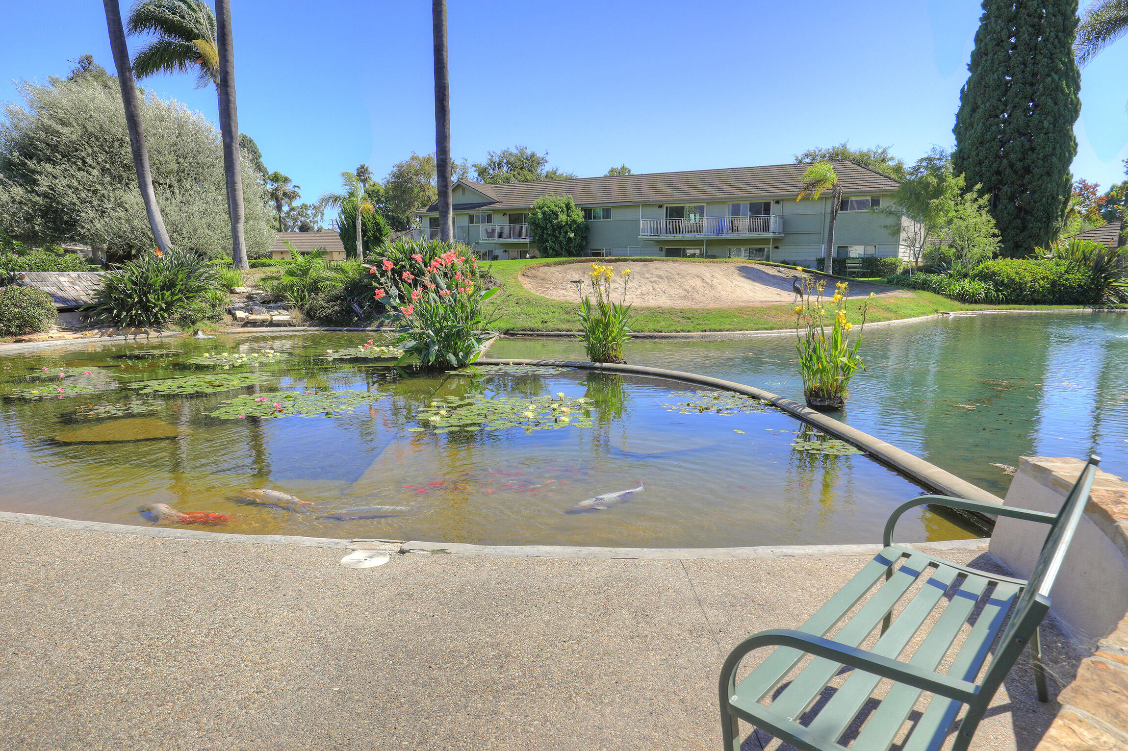 5722 Encina Road, Unit 3 Goleta, CA 93117 - Photo 17 of 19 Koi Pond