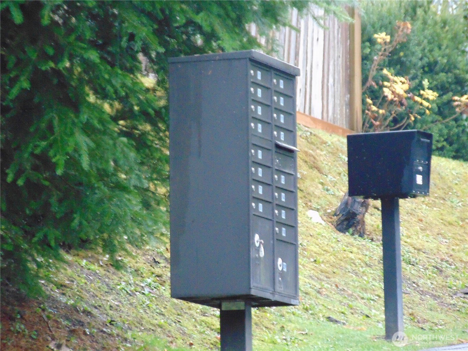 303 Poppy Road Bothell, WA 98012 - Photo 22 of 22 a house view with a outdoor space