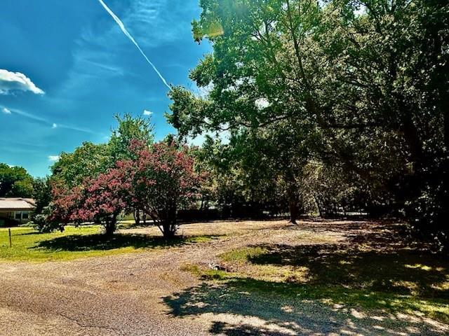 104 South Lamar Street Tioga, TX 76271 - Photo 3 of 10 a view of road with large trees
