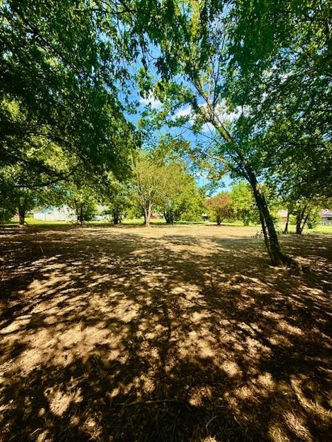 104 South Lamar Street Tioga, TX 76271 - Photo 10 of 10 a view of outdoor space and yard