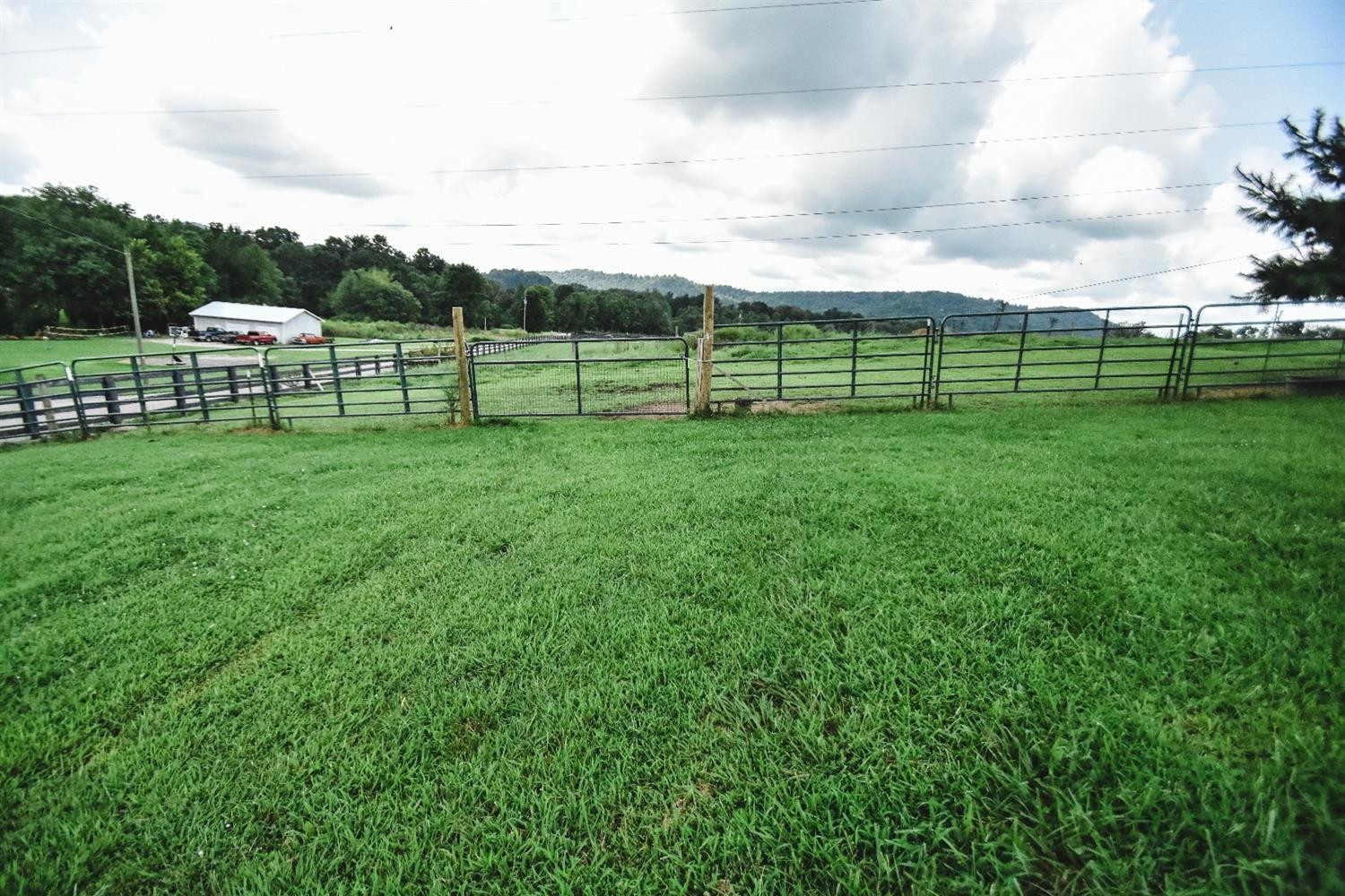 2050 Calico Road Berea, KY 40403 - Photo 16 of 16 Photo 16