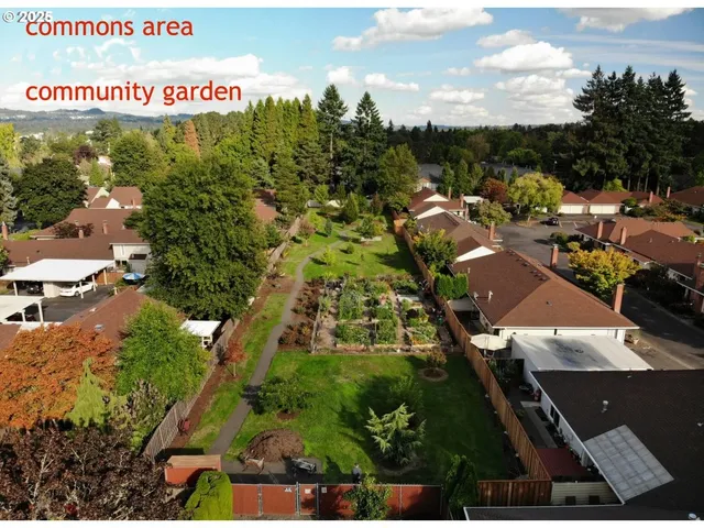 a front view of a house with a yard covered with flower plants