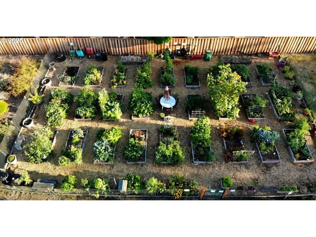 a view of a backyard with plants