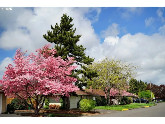a black and white photo of a painting