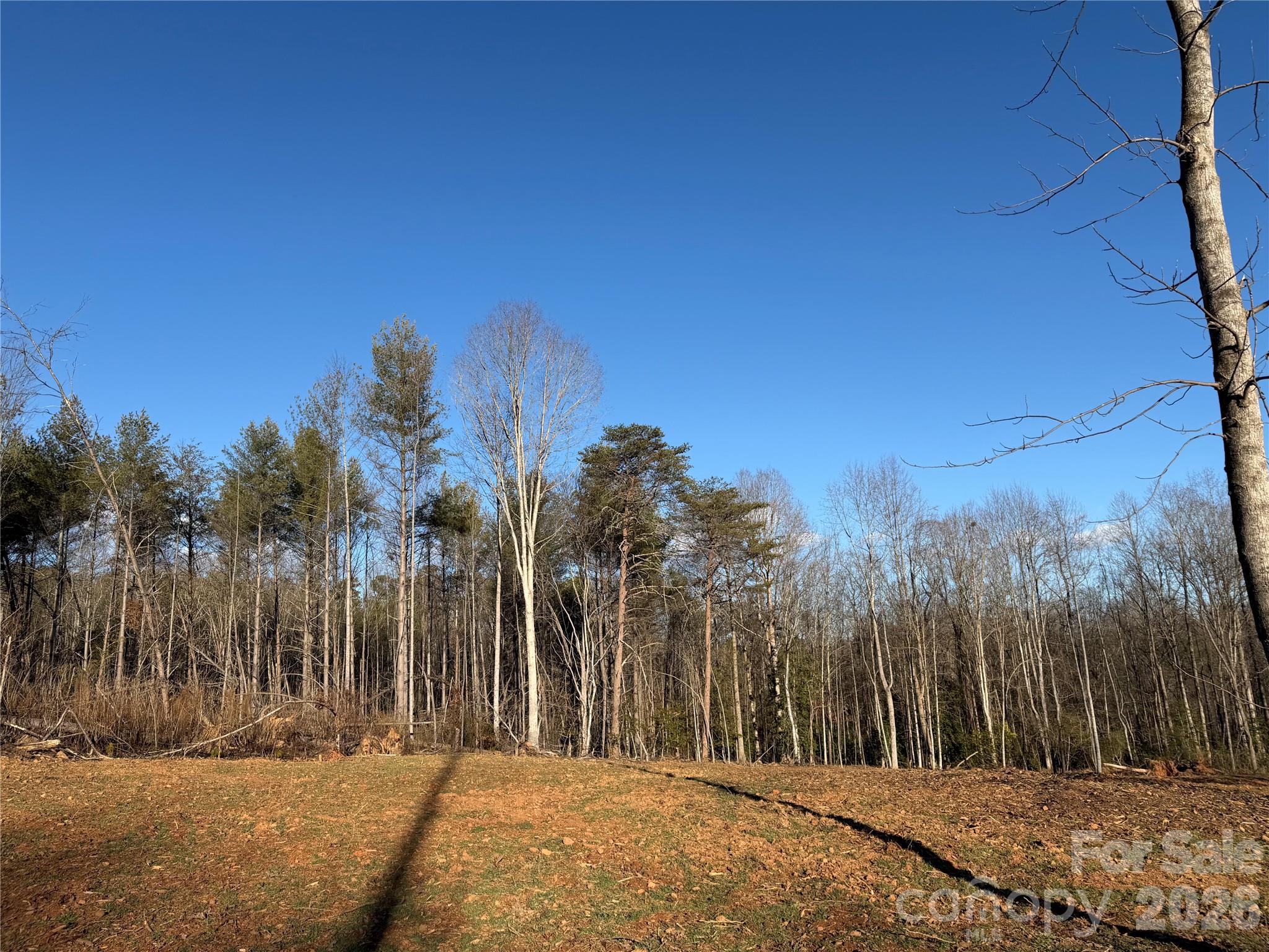 0 Ramsey Road Connelly Springs, NC 28612 - Photo 4 of 6 a view of a backyard of the house