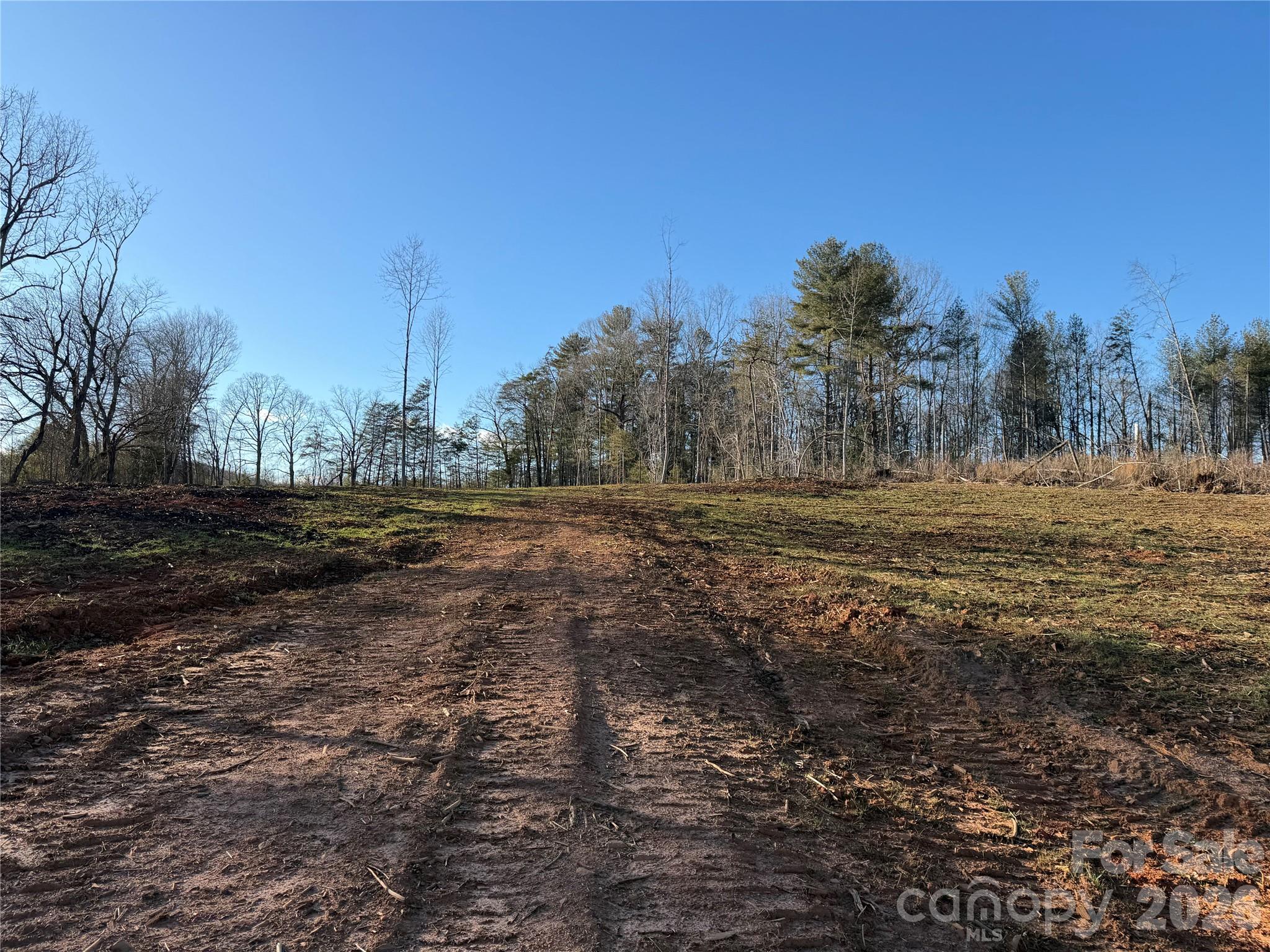 0 Ramsey Road Connelly Springs, NC 28612 - Photo 5 of 6 a view of dirt field with trees