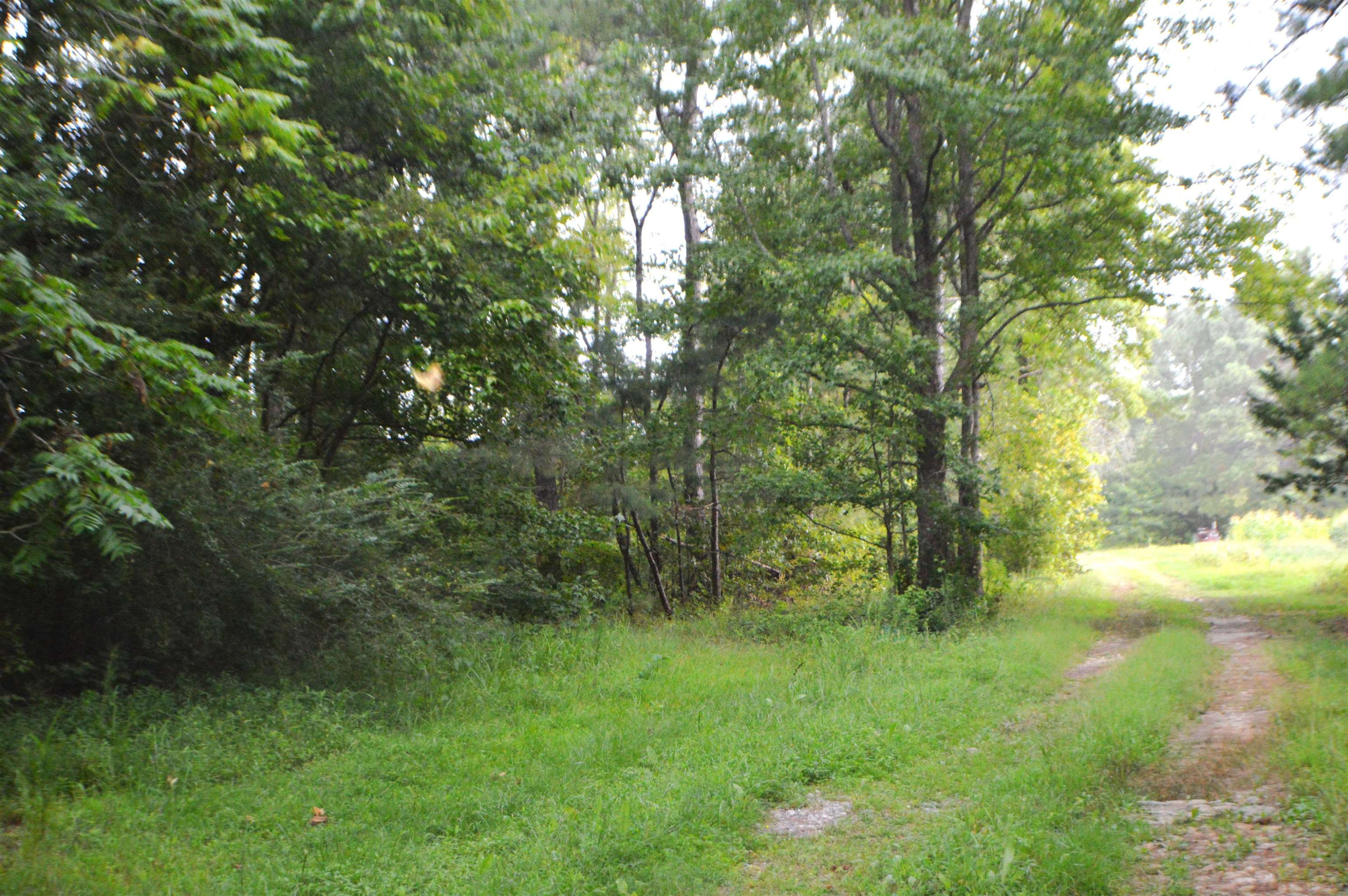 0 Ridgeway-Warrenton Road Warrenton, NC 27589 - Photo 5 of 7 Photo 5