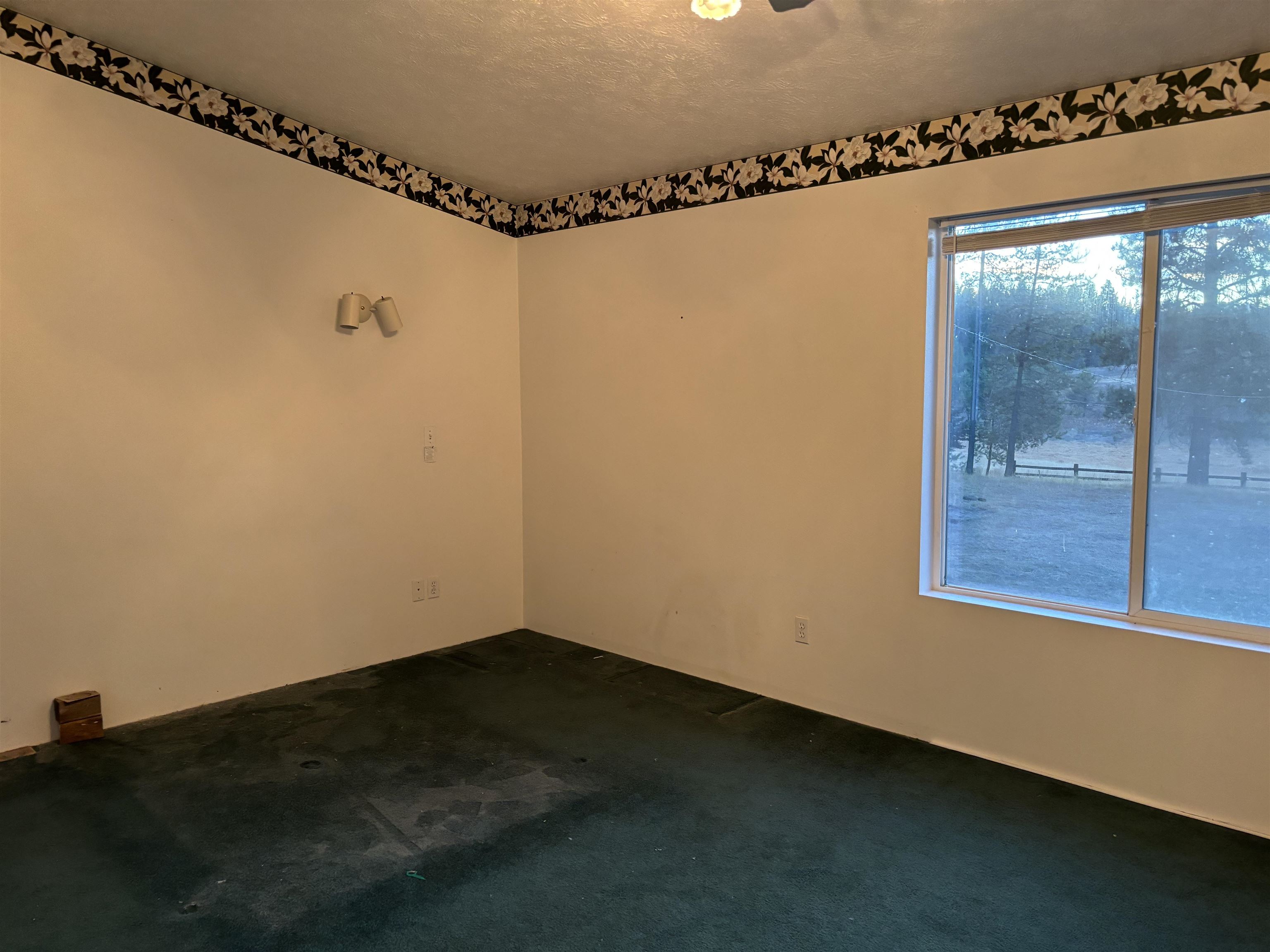 1582 Conklin Meadows Road Newport, WA 99156 - Photo 16 of 26
