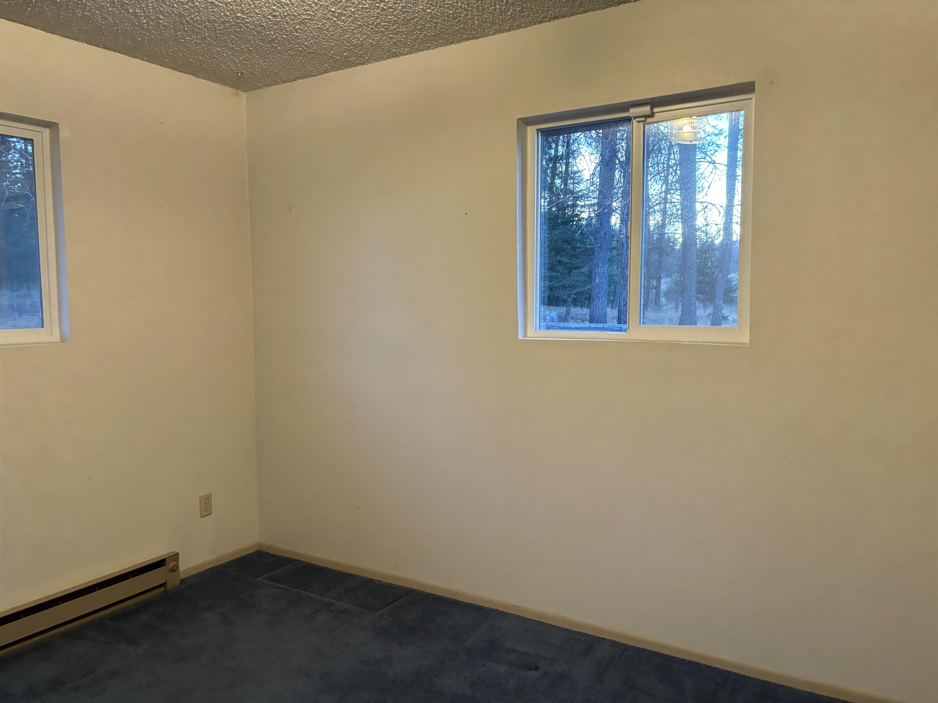 1582 Conklin Meadows Road Newport, WA 99156 - Photo 20 of 26