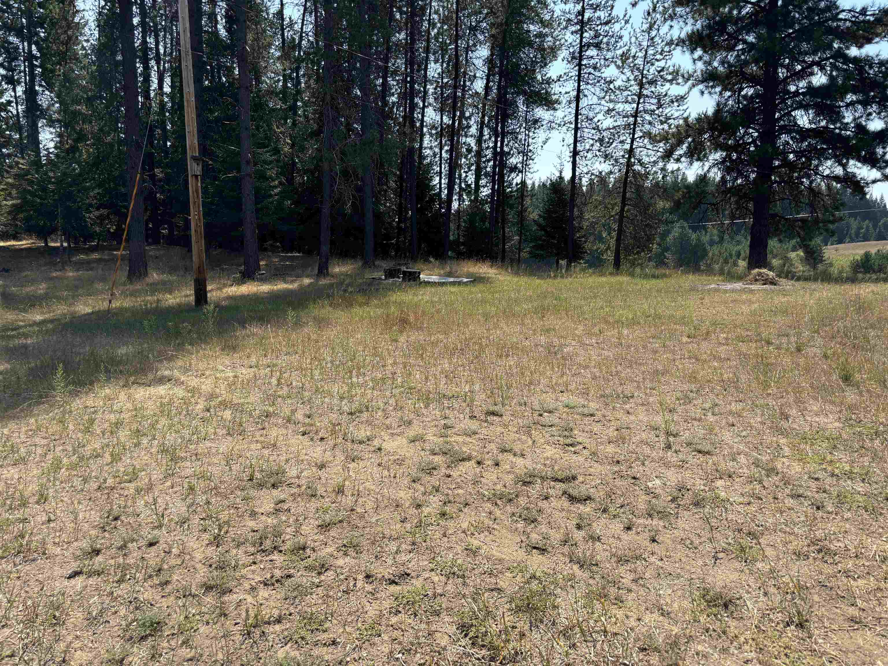 1582 Conklin Meadows Road Newport, WA 99156 - Photo 6 of 26