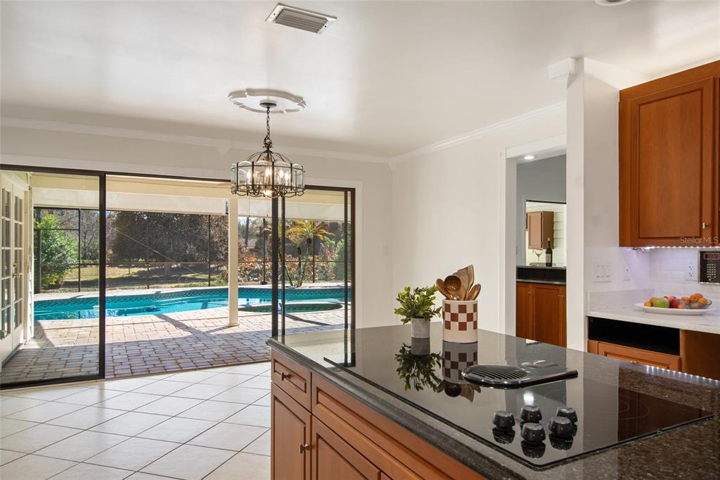 2931 Sunbittern Court Windermere, FL 34786 - Photo 18 of 55