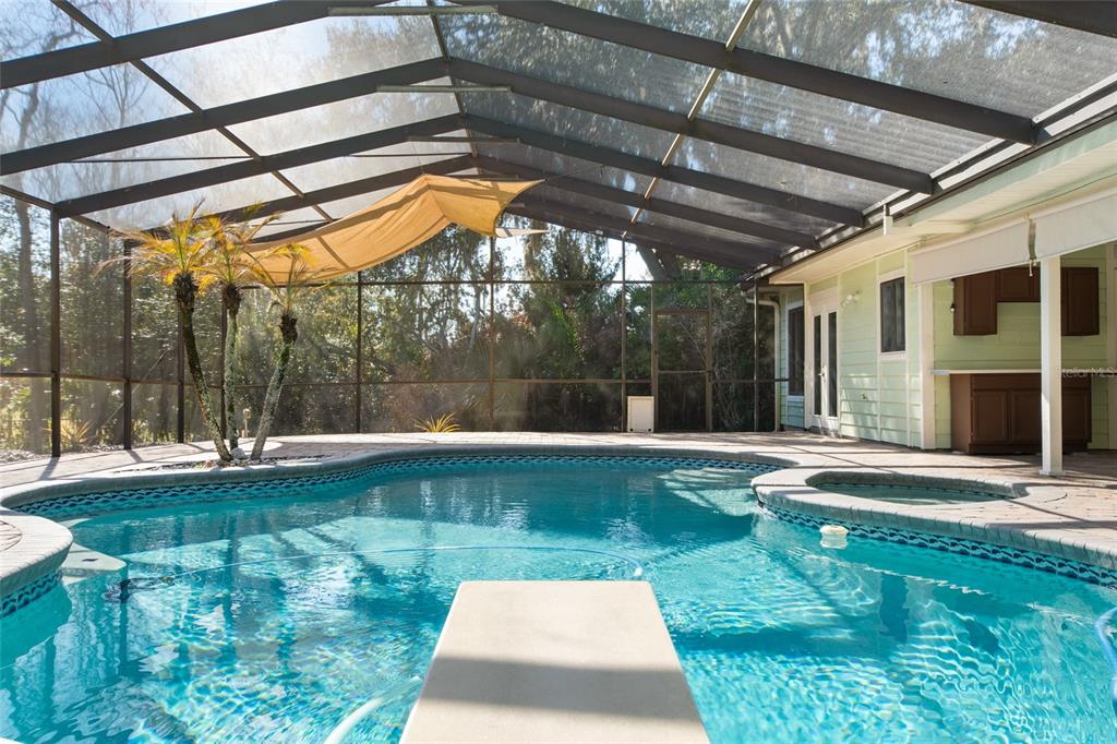 2931 Sunbittern Court Windermere, FL 34786 - Photo 40 of 55