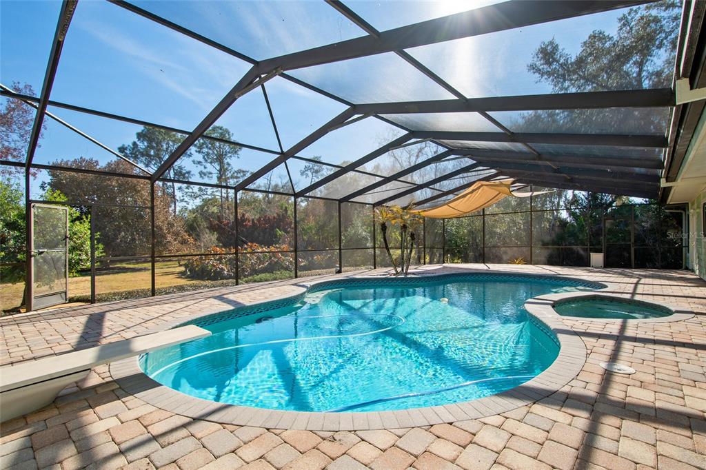 2931 Sunbittern Court Windermere, FL 34786 - Photo 45 of 55