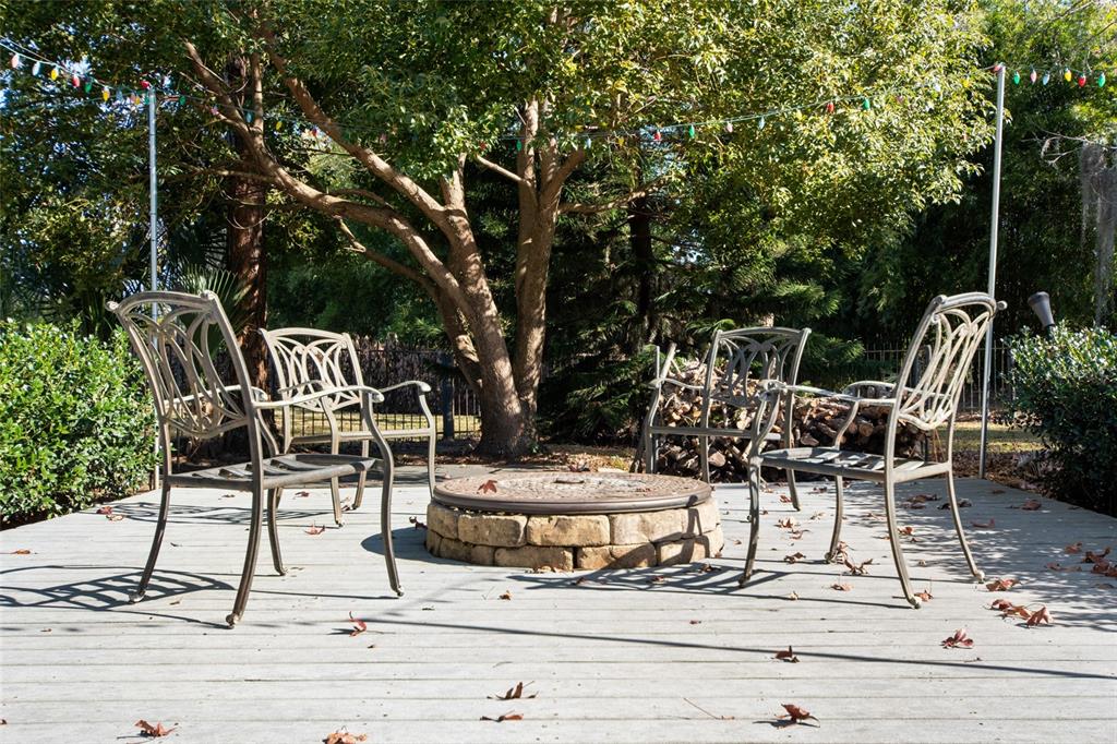 2931 Sunbittern Court Windermere, FL 34786 - Photo 46 of 55