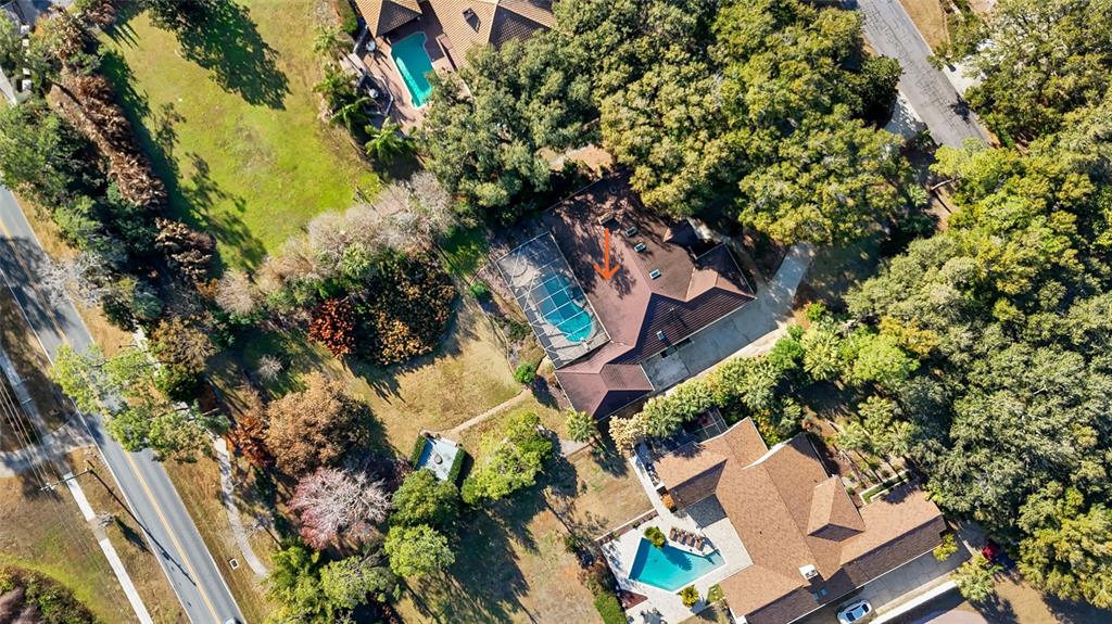 2931 Sunbittern Court Windermere, FL 34786 - Photo 51 of 55