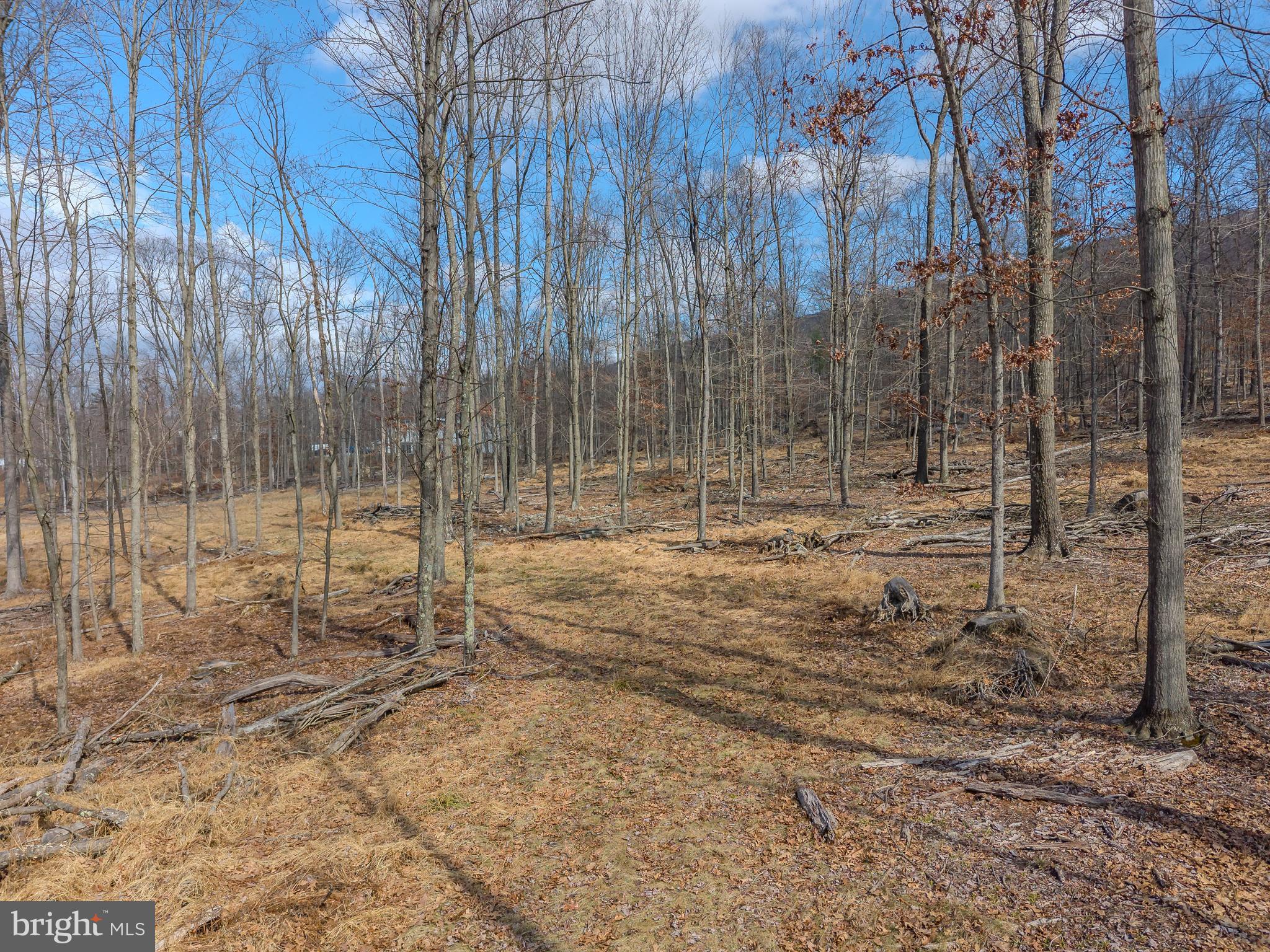 242 Brush Mountain Road Altoona, PA 16601 - Photo 13 of 27