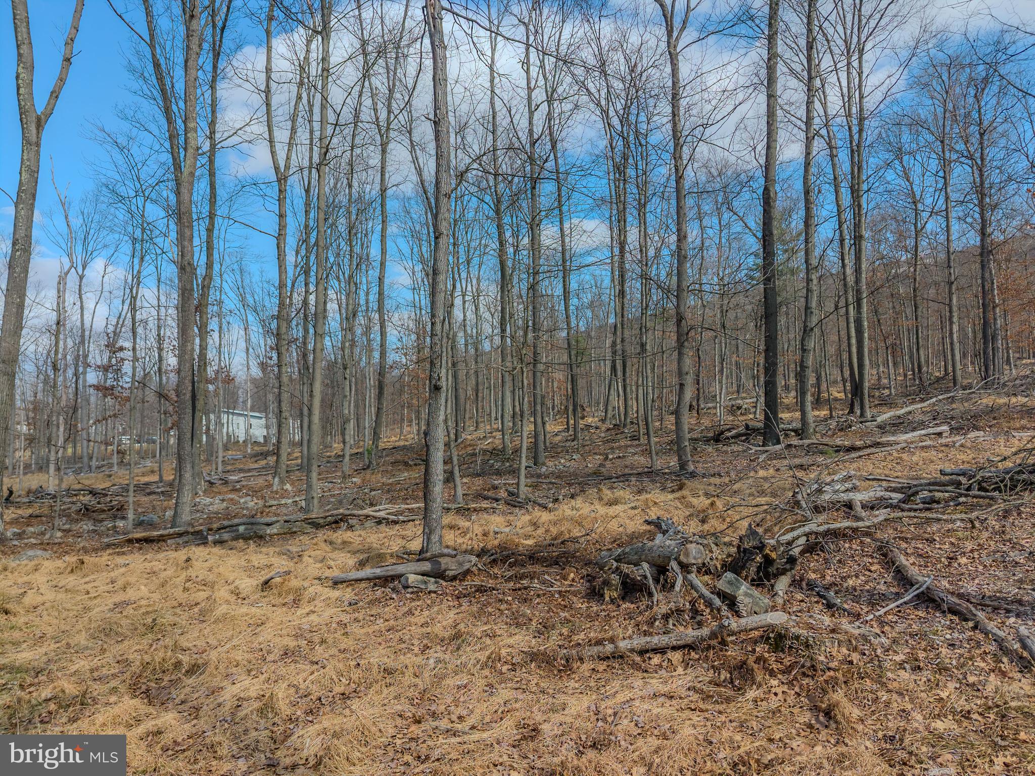 242 Brush Mountain Road Altoona, PA 16601 - Photo 16 of 27