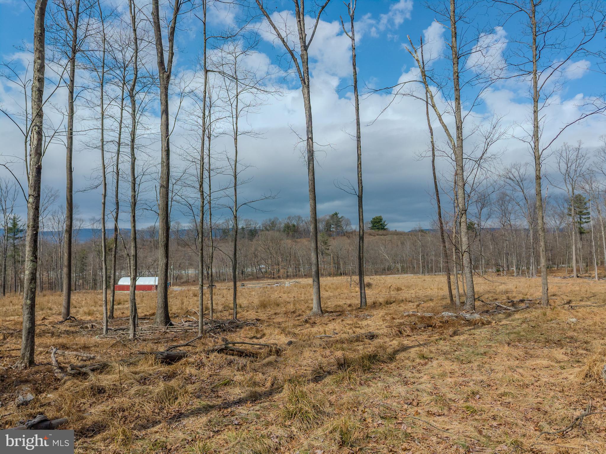 242 Brush Mountain Road Altoona, PA 16601 - Photo 17 of 27
