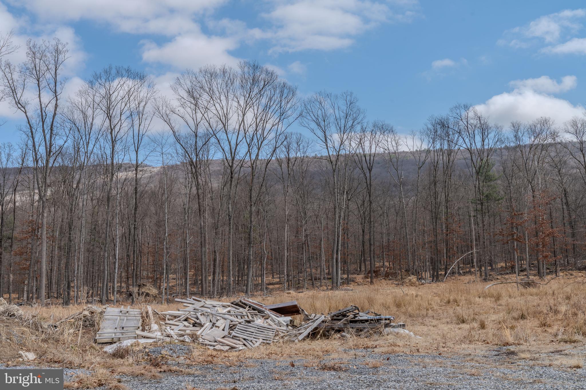 242 Brush Mountain Road Altoona, PA 16601 - Photo 21 of 27