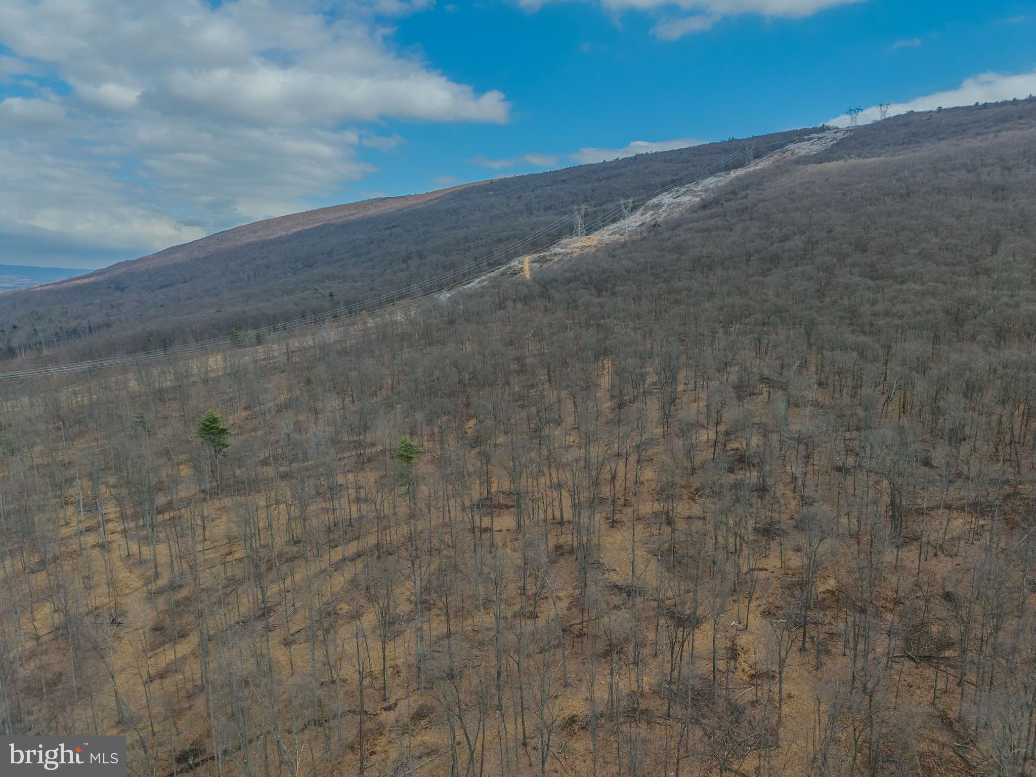 242 Brush Mountain Road Altoona, PA 16601 - Photo 4 of 27