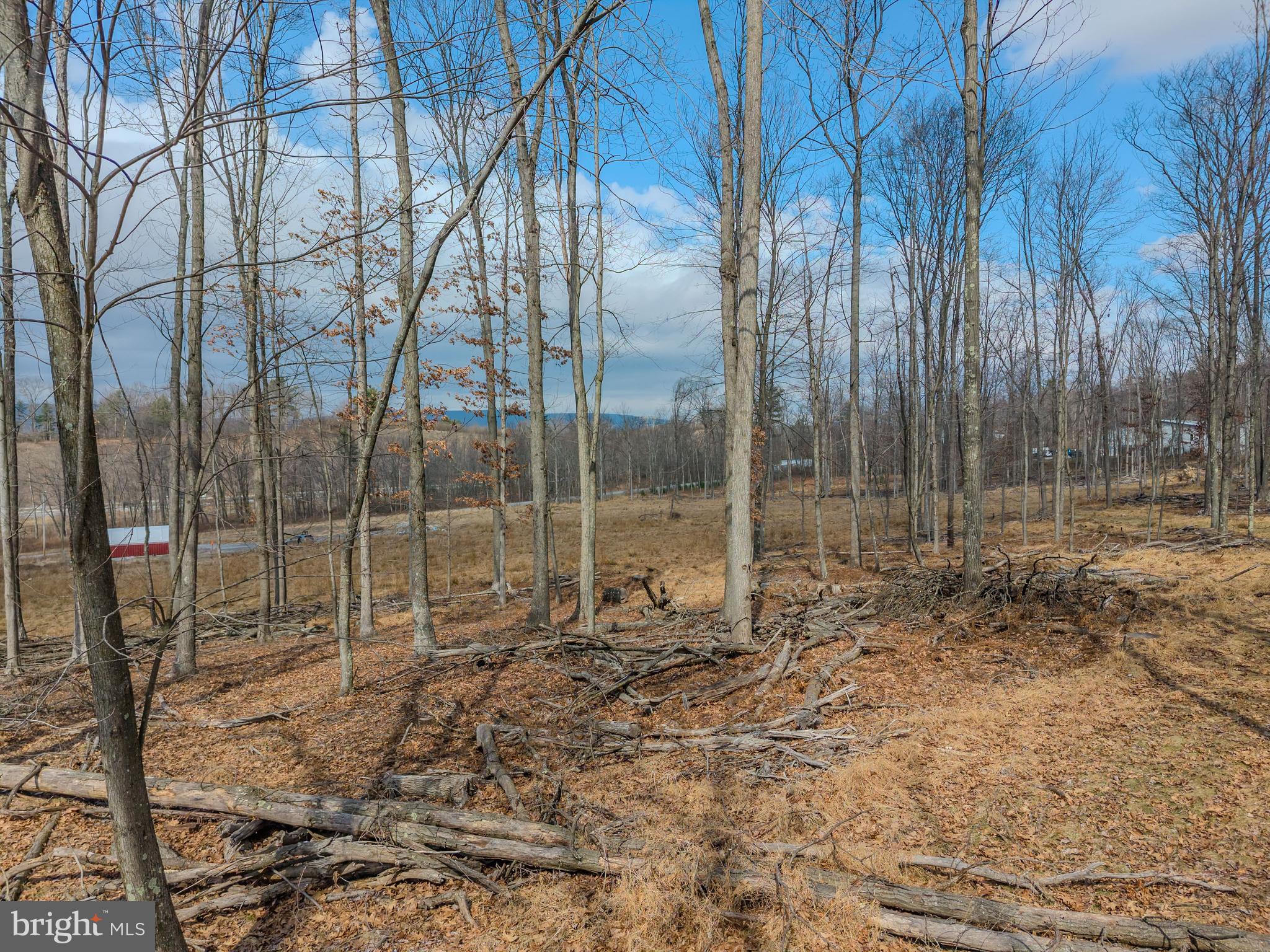 242 Brush Mountain Road Altoona, PA 16601 - Photo 8 of 27