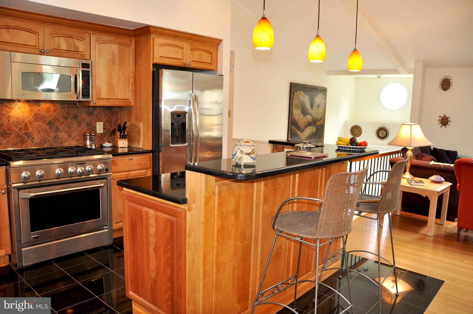 2116 Thomas View Road Reston, VA 20191 - Photo 11 of 30 Kitchen