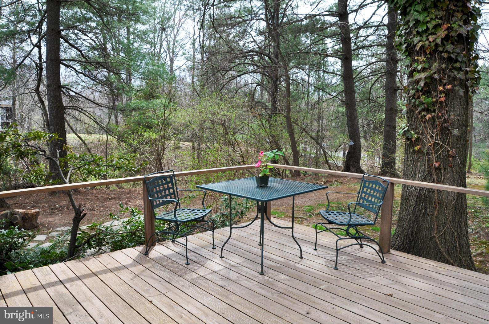 2116 Thomas View Road Reston, VA 20191 - Photo 30 of 30 Exterior (Rear)