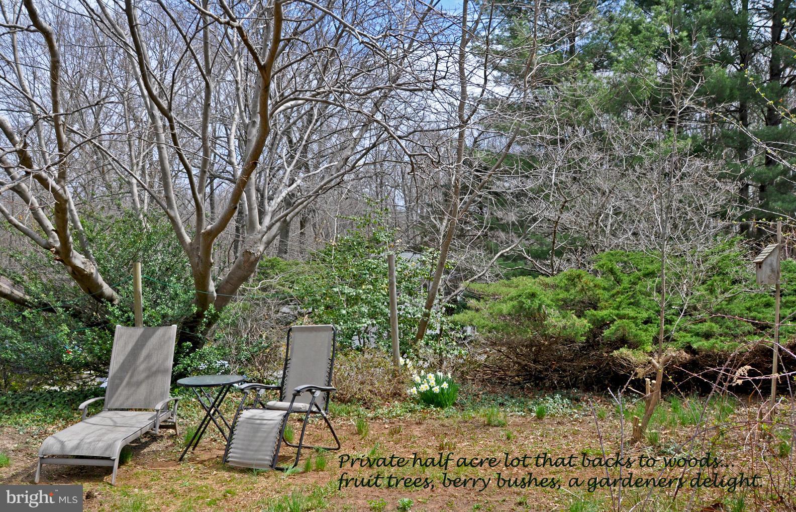 2116 Thomas View Road Reston, VA 20191 - Photo 5 of 30 Exterior (General)