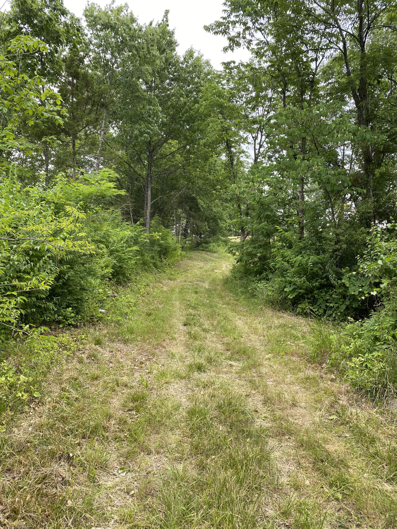 1100 Fairview Road Williamstown, KY 41097 - Photo 49 of 74 unnamed (22)