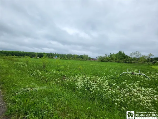$23,500 | Dredge Road, South Dayton, NY 14138