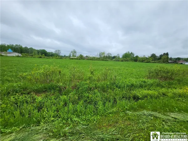 $23,500 | Dredge Road, South Dayton, NY 14138